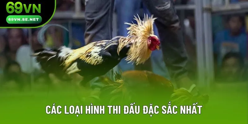 Các loại hình thi đấu đặc sắc nhất Các loại hình thi đấu đặc sắc nhất
