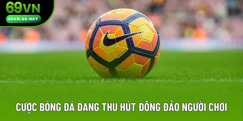 Cược bóng đá đang thu hút đông đảo người chơi Cược bóng đá đang thu hút đông đảo người chơi